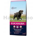 Eukanuba Caring senior Large Breed 15 kg – Zboží Mobilmania