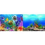 Macenauer fototapeta 5S 60 x 30 cm – Zboží Dáma