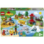 LEGO® DUPLO® 10907 Zvířata světa – Hledejceny.cz