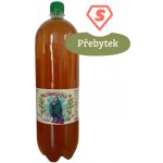 Stevikom Kombucha Meduňka 2 l – Zboží Dáma