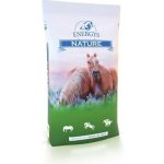 ENERGYS Cukrovarské řízky bez melasy sypké 20 kg – Zboží Dáma