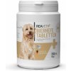 Vitamíny pro psa Reavet Pivovarské kvasnice v tabletách 250 ks
