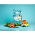 RufRuf Fresh & Tasty Losos pro štěňata 2 kg – Hledejceny.cz