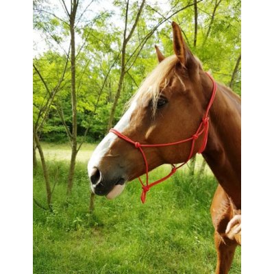 RIDING Provazová ohlávka WORLD Fine Černá – Sleviste.cz