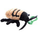 Šváb syčící 20 cm – Sleviste.cz