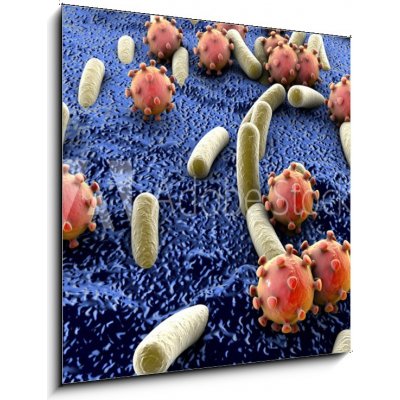 Obraz 1D - 50 x 50 cm - Bacteria and viruses on surface of skin, mucous membrane or intestine, model of MERS, HIV, flu, Escherichia coli, Salmonella, Klebsiella, Legione – Hledejceny.cz