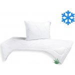 Brotex SET Přikrývka Aloe Vera UNICO zimní 140x200 1300g 70x90 900g – Zboží Dáma