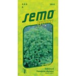 SEMO Dobromysl velkokvětá Oregano 0,4 g – Hledejceny.cz