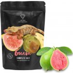 Gecko Nutrition guava 50 g – Zboží Dáma