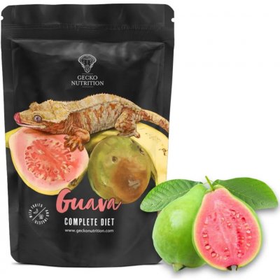 Gecko Nutrition guava 50 g – Zboží Dáma