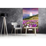 Dimex MS-2-0064 vliesová fototapeta na zeď Krokusy na jaře rozměry 150 x 250 cm – Zboží Mobilmania
