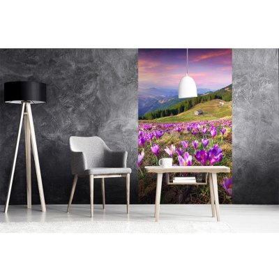 Dimex MS-2-0064 vliesová fototapeta na zeď Krokusy na jaře rozměry 150 x 250 cm – Zboží Mobilmania