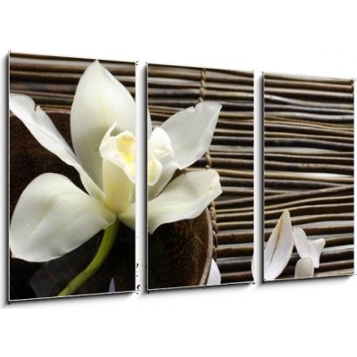 Obraz 3D třídílný - 90 x 50 cm - bowl of orchid, petal on bamboo mat miska orchideje, okvětní lístek na bambusové rohoži – Zboží Mobilmania