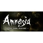 Amnesia: The Dark Descent – Hledejceny.cz