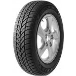 Maxxis Arctictrekker WP05 205/55 R16 91H – Hledejceny.cz