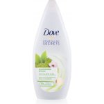 Dove Nourishing Secrets Awakening Ritual osvěžující sprchový gel 225 ml – Zboží Mobilmania