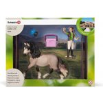 Schleich 42270 Pečující sada Andalusský kůn – Hledejceny.cz