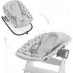 Hauck Alpha Bouncer Premium 2021 nordic šedá – Hledejceny.cz