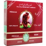 Five Fives Ibišek regenerační zábal na vlasy 100 g – Hledejceny.cz