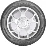 Dunlop Sport Bluresponse 205/50 R16 87V – Hledejceny.cz