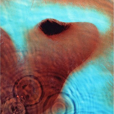 Meddle - Pink Floyd LP – Hledejceny.cz