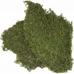 Terra Natura Moss 100 g – Zboží Mobilmania