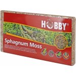 Hobby Sphagnum Moss 100 g – Zboží Dáma