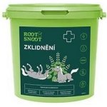Leros Root&Snoot Zklidnění pro koně sypaná směs 1 kg – Hledejceny.cz