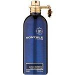 Montale Aoud Ambre parfémovaná voda unisex 100 ml tester – Hledejceny.cz