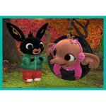 TREFL Bing 10v1 – Zboží Dáma