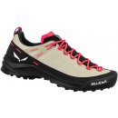 Salewa Alp Trainer 2