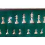 Magneticke šachy de luxe 5x10 – Zboží Živě