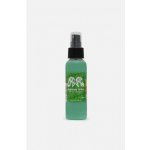 Dodo Juice Basics of Bling Detailing Spray 100 ml – Zbozi.Blesk.cz