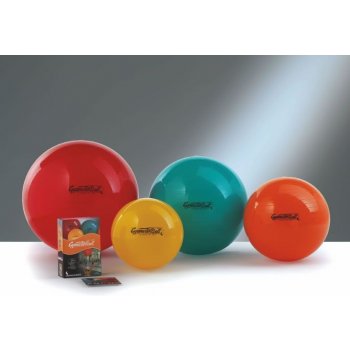 Ledragomma Gymnastik Ball 65 cm