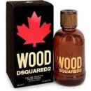 Parfém Dsquared2 Wood toaletní voda pánská 100 ml