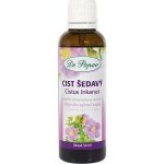 Dr. Popov Cist šedavý 50 ml – Hledejceny.cz
