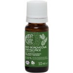 Tierra Verde Silice Borovicová pryskyřice BIO 10 ml – Zboží Mobilmania