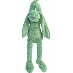 Happy Horse hudební králíček Richie zelený 34 cm – Zbozi.Blesk.cz