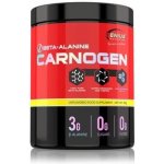 Genius Basic line Carnogen Beta Alanine 300g – Hledejceny.cz