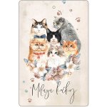 Bohemia Gifts Aromatická karta Miluju kočky 10,5 x 16 cm – Hledejceny.cz