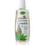 BC Bione Cosmetics Dentamint ústní voda Cannabis 500 ml – Hledejceny.cz