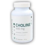 Choline 500 mg 90 kapslí – Hledejceny.cz