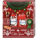 Old Spice Wolfthorn sprchový gel 250 ml + deostick 50 ml dárková sada – Zboží Dáma