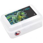 Oxybag Box na svačinu s přihrádkou Premium Dinosaurus 936924 – Hledejceny.cz