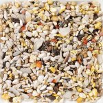 Deli Nature 64 Parrots Supreme Fruits 3 kg – Sleviste.cz