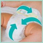 Pampers Premium Care 3 120 ks – Zboží Dáma