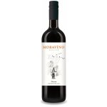 Moravíno Pálava pozdní sběr 2021 13,5% 0,75 l (holá láhev) – Zboží Dáma