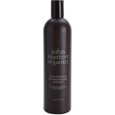 John Masters Organics Honey & Hibiscus obnovující šampon pro posílení vlasů 473 ml