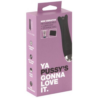 You2Toys Ya Pussy's Gonna Love it Mini Vibrator + Lubricant + Storage Bag – Zbozi.Blesk.cz