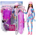 Barbie na sáňkách HGM74 – Zboží Dáma